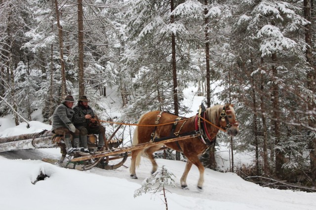 Holzschlitten