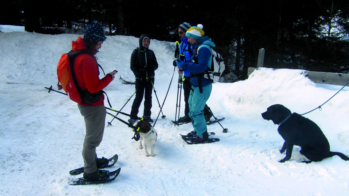 Unser Team beim Schneeschuhwandern: Veit, Hündin Mira, Nina, Andreas, Munja und Hund Odin