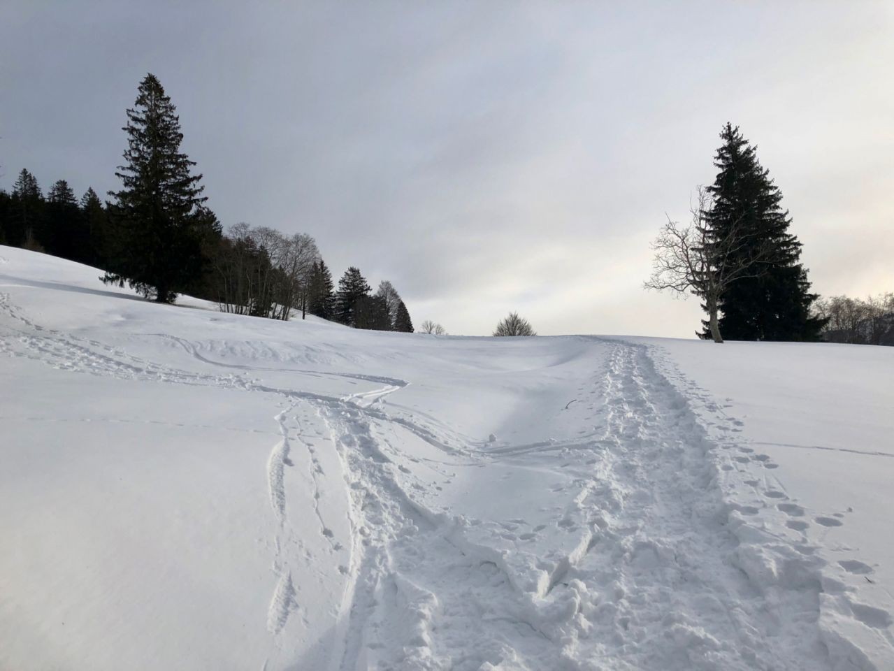 Schwerelosigkeit im Winter