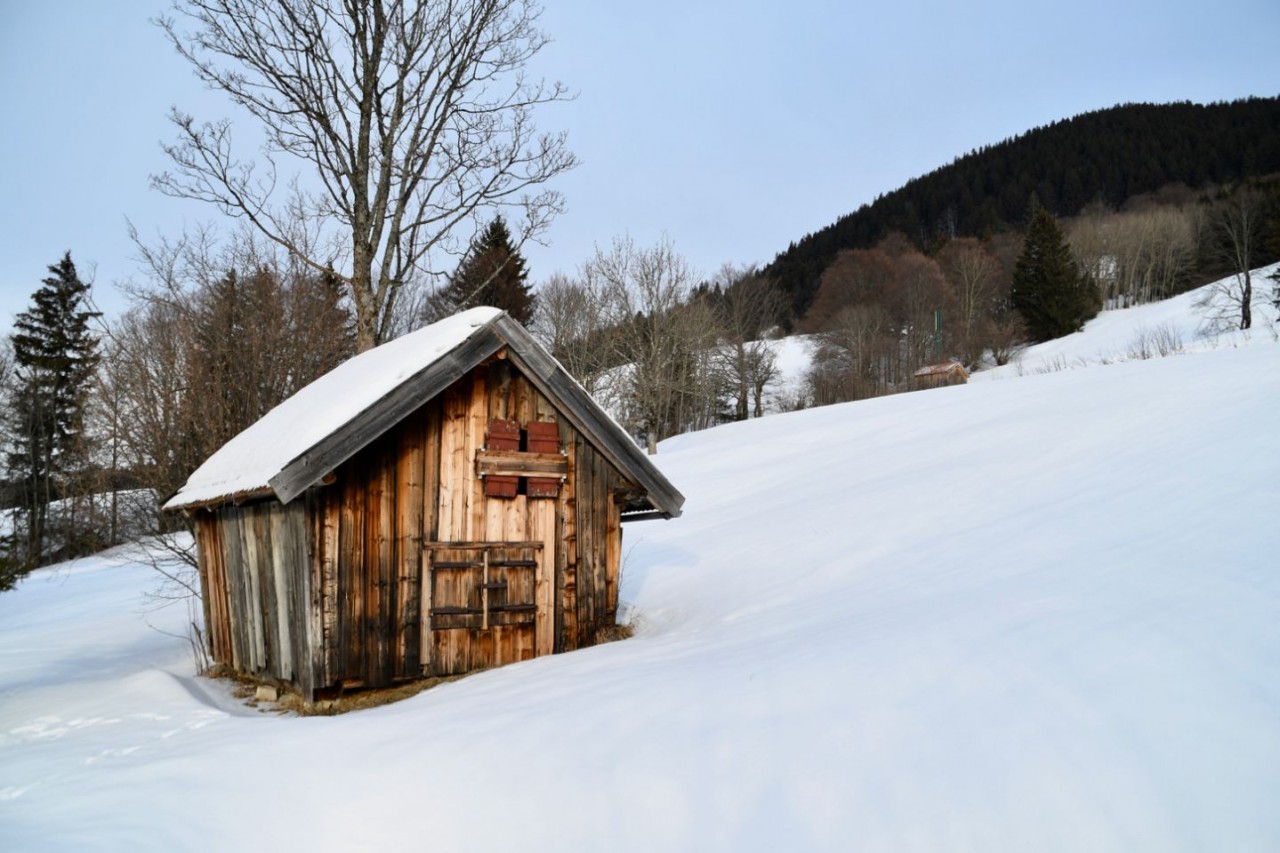Holzhütte in der Sonne