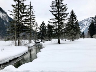 Bach in Winterlandschaft