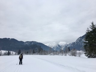 Paddy in der Loipe