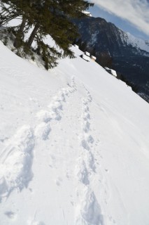 Schneeschuh