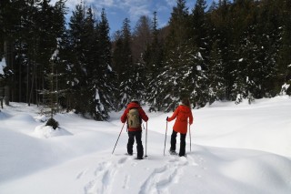 Alleine im Wald