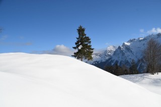 Schnee ohne Ende