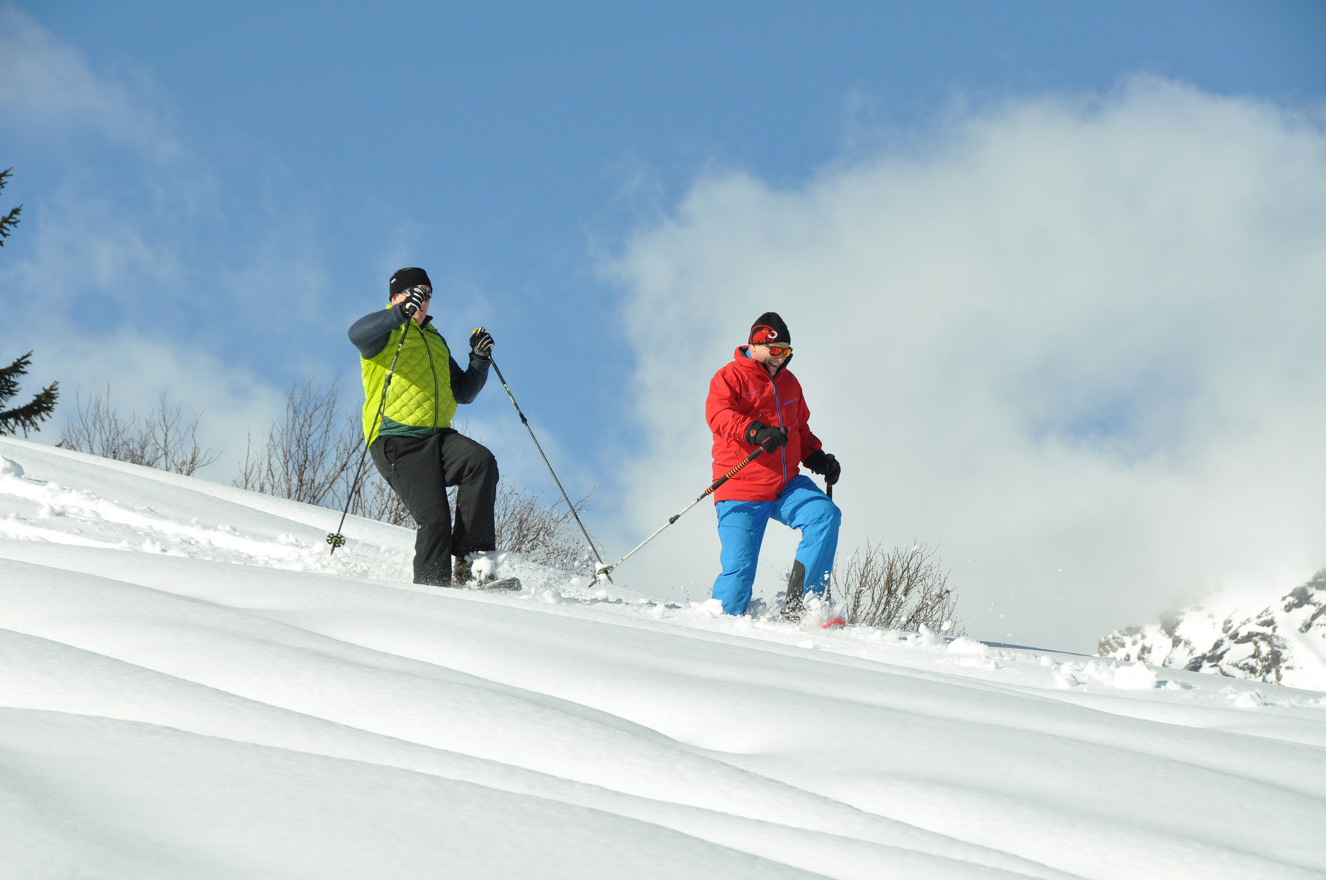 harrypruenster